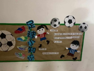 幼儿园足球口号(幼儿园足球口号押韵有气势)