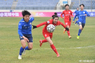 河南足球女足(河南女足青年队)
