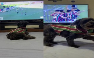 正经足球(非正经足球)