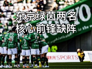 不死鸟vs绿茵(不死鸟是哪只球队)