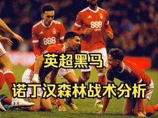 谢菲尔德vs诺丁汉森林(谢菲尔德和诺丁汉商科选哪个)