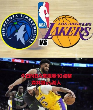 2016雷霆vs快船(14季后赛雷霆vs快船第五场黑哨)