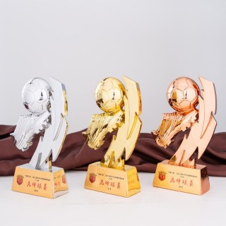 足球什么奖(足球什么奖项有粉丝投票)