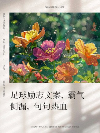 足球形容(足球形容词有哪些)