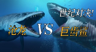 kb之星vs龙(kb之星vs龙仁三星生命)，KB之星对决龙仁三星生命