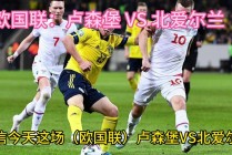 哥斯达黎加vs背爱尔兰(哥斯达黎加vs卡塔尔比分预测)