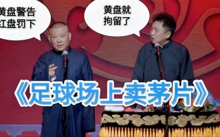 调侃足球的相声(关于足球的相声段子)