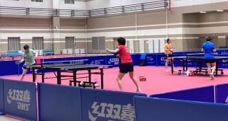 关于刘斐vs陈梦的信息