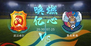 关于青港vs幸福的信息