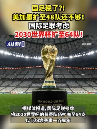 足球世界杯vip(足球世界杯2024年在哪举办)