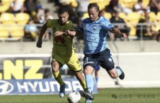 西部悉尼vs惠灵顿直播(悉尼vs西悉尼流浪者队直播)