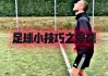 足球停球重难点(足球停球教材分析)
