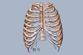 足球肋部(足球场上的肋部)