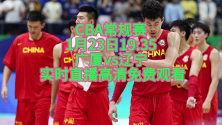 辽宁vs广厦总分(辽宁vs广厦录像回放)