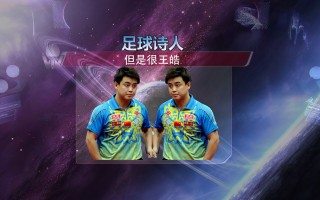 足球王灏(国足 王皓)