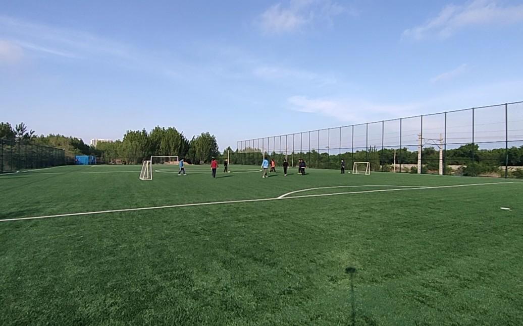 秦皇岛市足球队(秦皇岛市足球俱乐部)  第2张