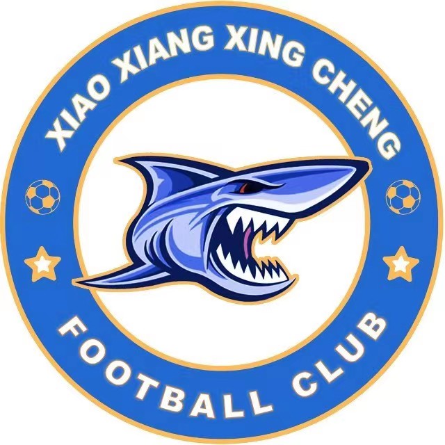 湘涛足球俱乐部(湘涛足球俱乐部大股东)  第2张