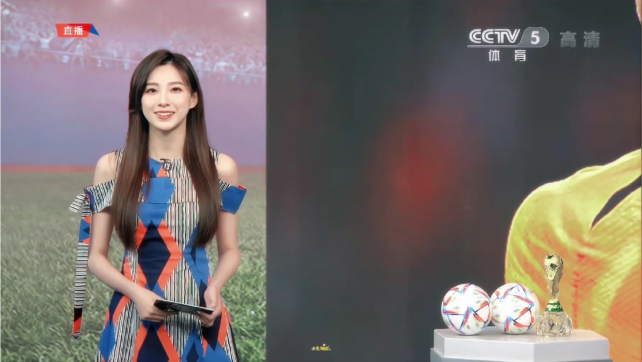 天下足球刘嘉(天下足球刘嘉远)  第2张