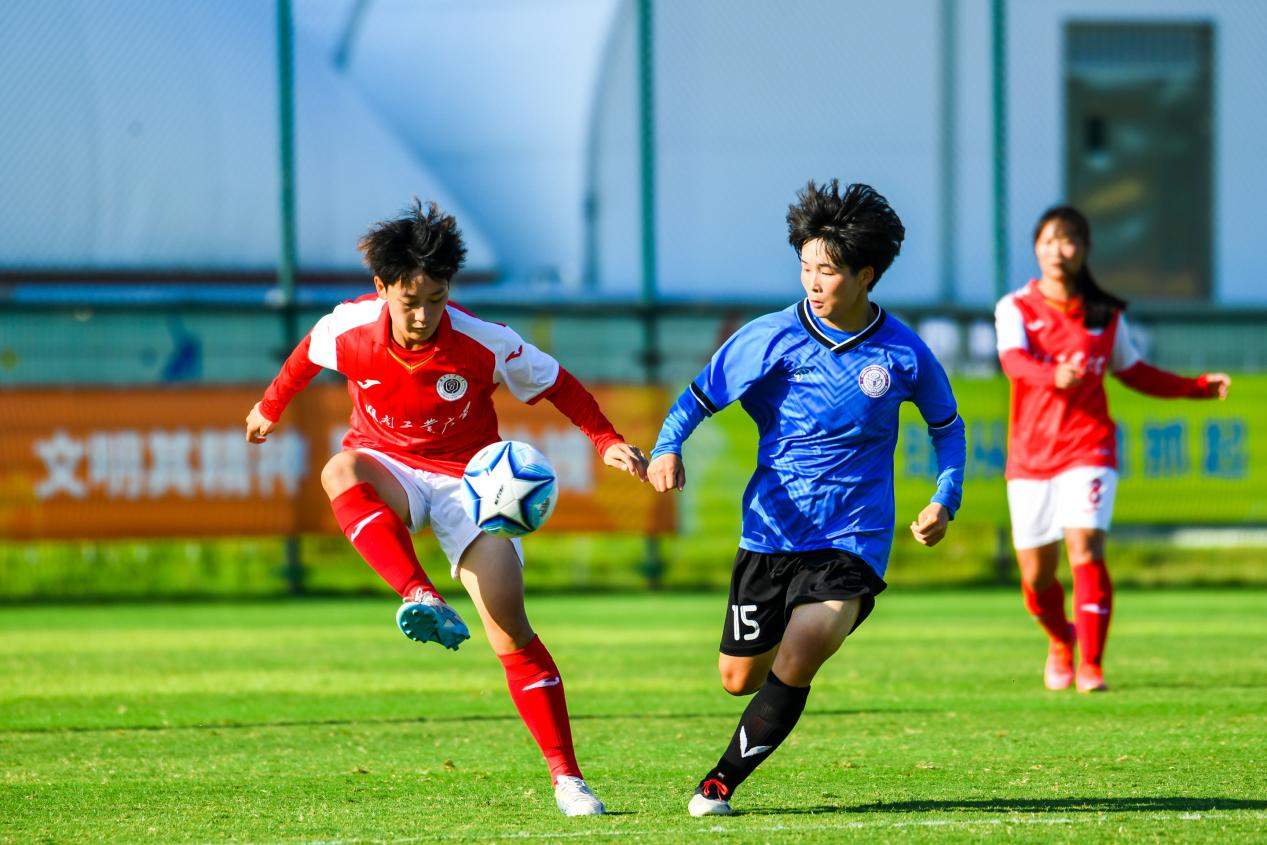 2015年足球乙级联赛(2015年足球比赛)  第2张