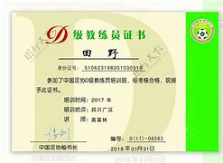 d级足球教练资格证(足球d级教练证考核考什么)  第2张