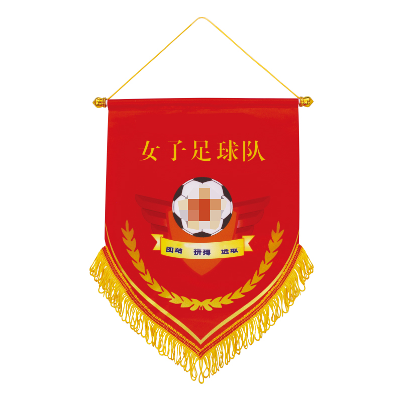 足球大旗(足球旗帜图片大全)  第2张